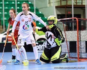 Z Těšína do Belleville