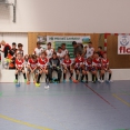 FbC Grasshoppers Žilina