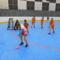 Těšínské florbalky 2019
