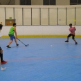 Těšínské florbalky 2019