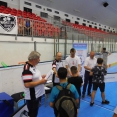 Těšínské florbalky 2019