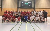 Přátelské utkání