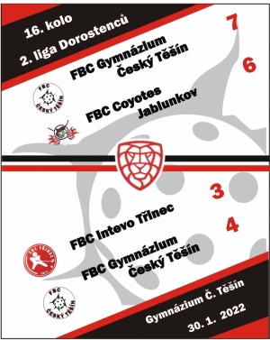 Dorostenci v domácí hale 2x vítězní