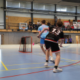 DOROST MISTŘI